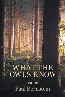 What the Owls Know by Bernstein, Paul