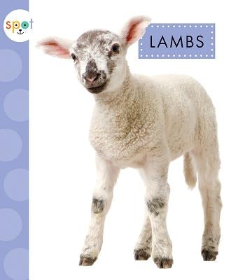 Lambs by Suen, Anastasia