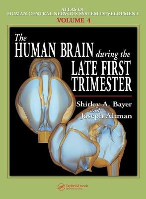 The Human Brain During the Late First Trimester by Bayer, Shirley A.