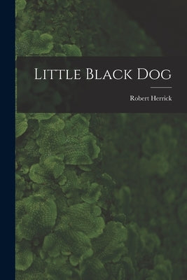 Little Black Dog by Herrick, Robert 1868-1938