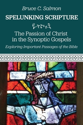 The Passion of Christ in the Synoptic Gospels by Salmon, Bruce C.