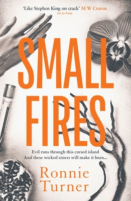 Small Fires by Turner, Ronnie