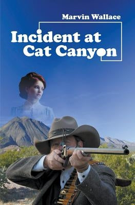 Incident at Cat Canyon by Wallace, Marvin