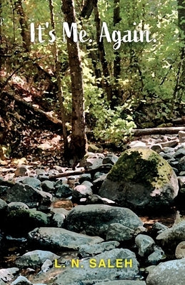 It's Me. Again by Saleh, L. N.