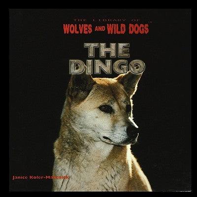 The Dingo by Koler-Matznick, Janice