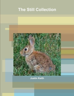 The Still Collection by Keith, Justin