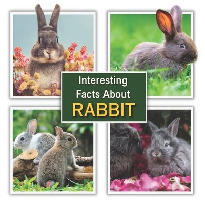 Interesting Facts about Rabbit: Rabbit Educational Wildlife Picture Book for Kids by Mahi, James K.
