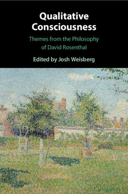 Qualitative Consciousness: Themes from the Philosophy of David Rosenthal by Weisberg, Josh