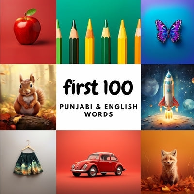 First 100 Punjabi & English Words by Heidary, Aisling