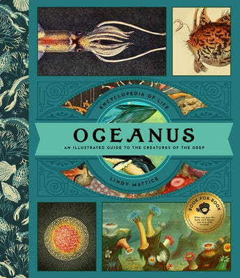 Oceanus: An Illustrated Guide to Creatures of the Deep by Mattice, Lindy