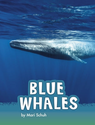 Blue Whales by Schuh, Mari