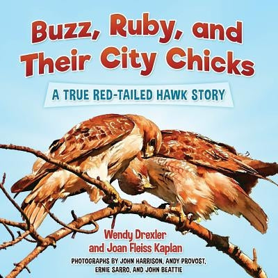 Buzz, Ruby, and Their City Chicks: A True Red-Tailed Hawk Story by Kaplan, Joan Fleiss