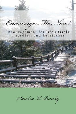 Encourage Me Now!: Finding encouragement for every day trials, heartaches, and tragedies. by Bundy, Andrew C.