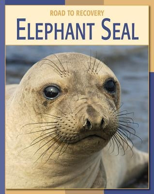 Elephant Seal by Gray, Susan H.