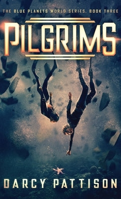 Pilgrims by Pattison, Darcy