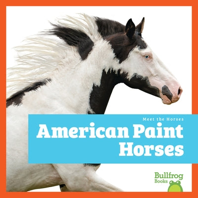 American Paint Horses by Grack, Rachel
