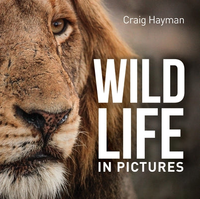 Wildlife in Pictures by Hayman, Craig