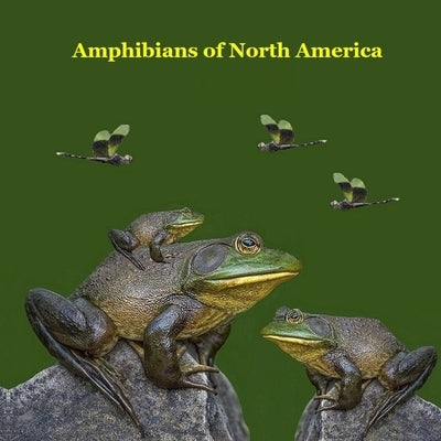 Amphibians of North America Kids Book: Great Children's Amphibians Book about Frogs, Toads, Salamanders, of North America by Marie, Kinsey
