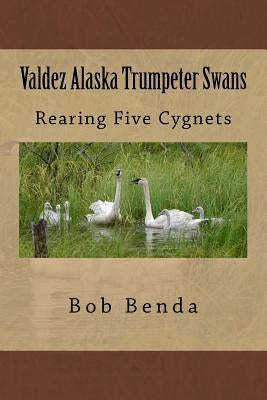 Valdez Alaska Trumpeter Swans: Rearing Five Cygnets by Benda, Bob