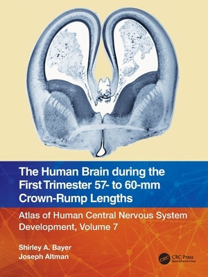 The Human Brain During the First Trimester 57- To 60-MM Crown-Rump Lengths: Atlas of Human Central Nervous System Development, Volume 7 by Bayer, Shirley A.