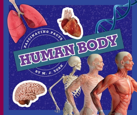 Human Body by York, M. J.