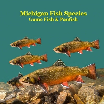 Michigan Game Fish and Panfish Species Kids Book: Great Book About the Different Types of Fish in Michigan by Marie, Kinsey