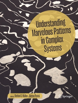 Understanding Marvelous Patterns in Complex Systems by Müller, Stefan C.