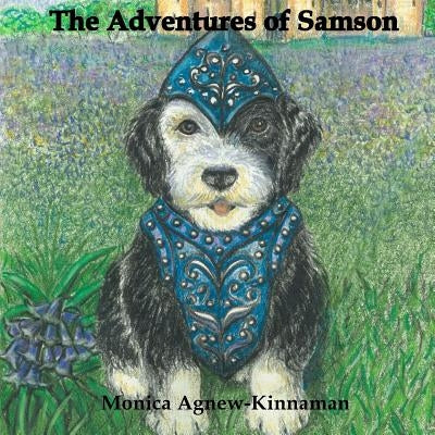 The Adventures of Samson by Agnew-Kinnaman, Monica