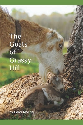 The Goats of Grassy Hill by Morris, Heidi