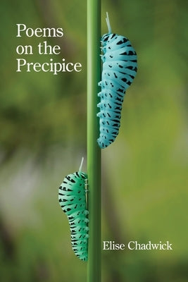Poems on the Precipice by Chadwick, Elise
