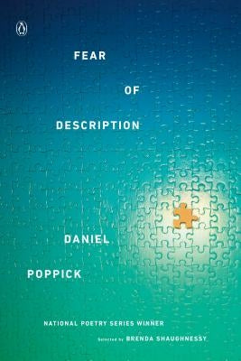Fear of Description by Poppick, Daniel