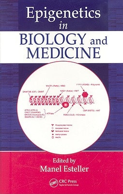 Epigenetics in Biology and Medicine by Esteller, Manel