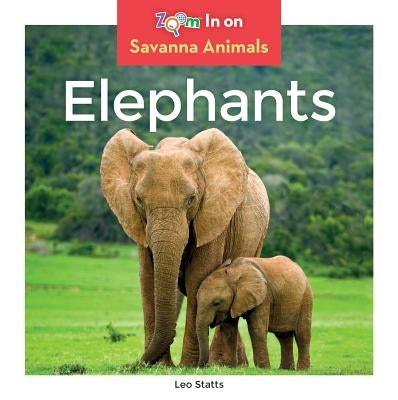 Elephants by Statts, Leo