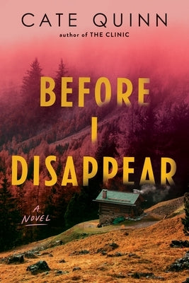Before I Disappear by Quinn, Cate