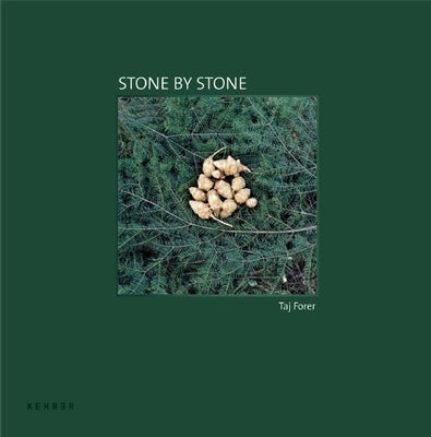 Stone by Stone by Forer, Taj