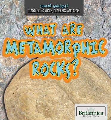 What Are Metamorphic Rocks? by Peterson, Judy Monroe