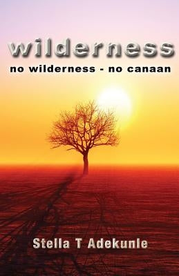 Wilderness: no wilderness - no canaan by Adekunle, Stella T.