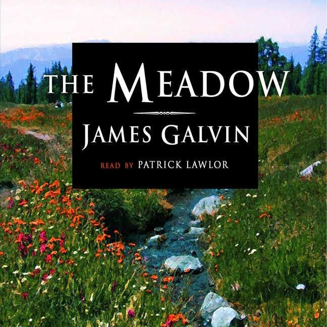 The Meadow by Galvin, James