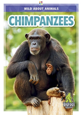 Chimpanzees by Temple, Colton