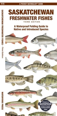 Saskatchewan Freshwater Fishes: A Waterproof Folding Guide to Native and Introduced Species by Morris, Matthew