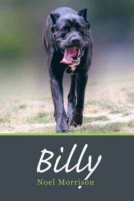 Billy by Morrison, Noel