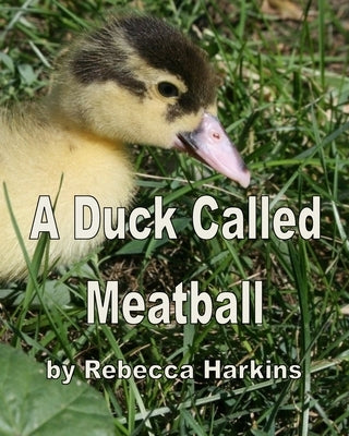 A Duck Called Meatball by Harkins, Rebecca