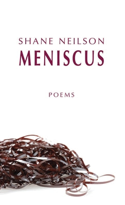 Meniscus by Neilson, Shane