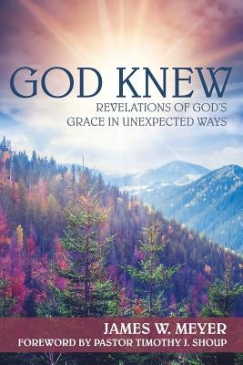God Knew: Revelations of God's Grace in Unexpected Ways by Meyer, James W.