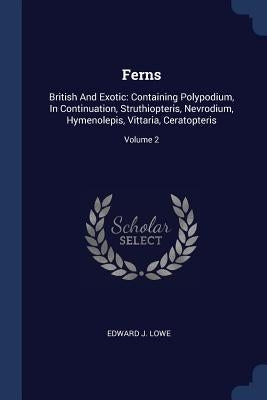 Ferns: British And Exotic: Containing Polypodium, In Continuation, Struthiopteris, Nevrodium, Hymenolepis, Vittaria, Ceratopteris; Volume 2 by Lowe, Edward J.