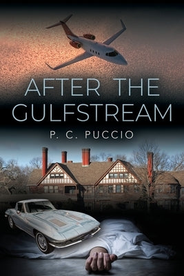After the Gulfstream by Puccio, P. C.
