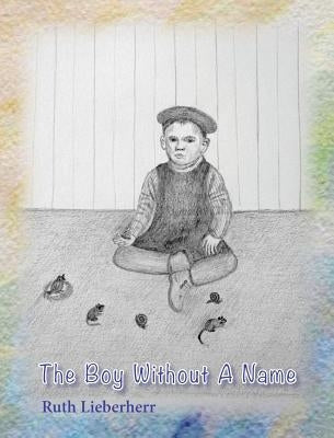 The Boy Without A Name by Lieberherr, Ruth