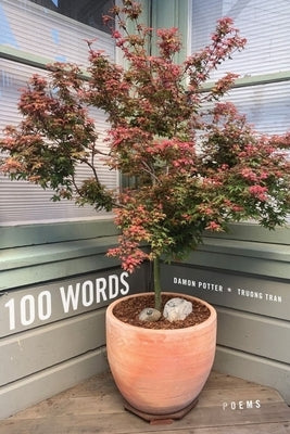 100 Words: Poems by Potter, Damon