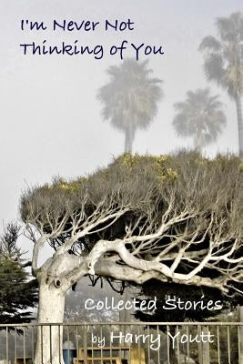 I'm Never Not Thinking of You: Collected Stories by Youtt, Harry
