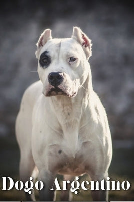 Dogo Argentino: Dog breed overview and guide by Pustova, Nina